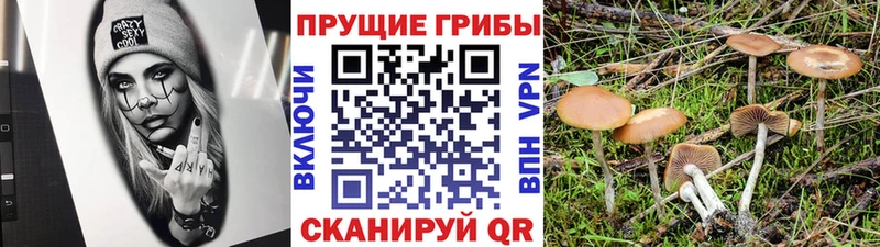 Галлюциногенные грибы прущие грибы  Кирс 